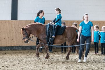 Bild 597 - Voltigierturnier